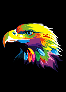 Bald eagle head portrait