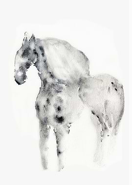 White horse