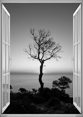 Window view tree sea