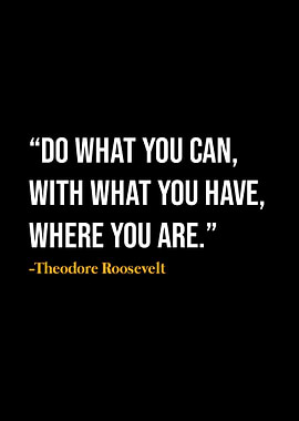 Theodore Roosevelt Quote