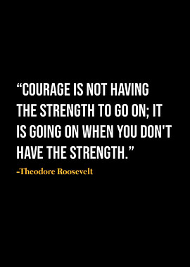 Theodore Roosevelt Quote