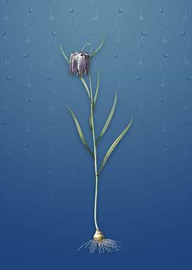 Vintage Chess Flower