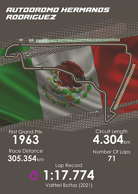 Formula 1 Mexican GP