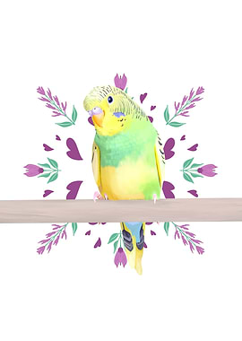 Cute Green Budgie