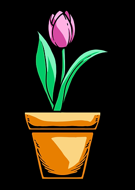Tulip Gardening Flower