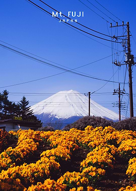 Mount Fuji