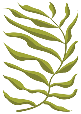 Green Fern Minimalist