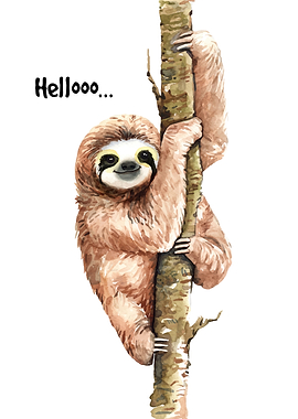 Cute Sloth