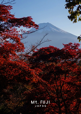 Mount Fuji