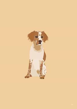 Brittany Dog Illustration