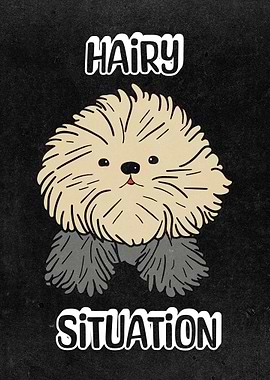 Groomers Funny Hairy