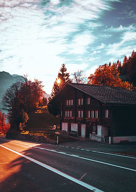 spring sunshine and house