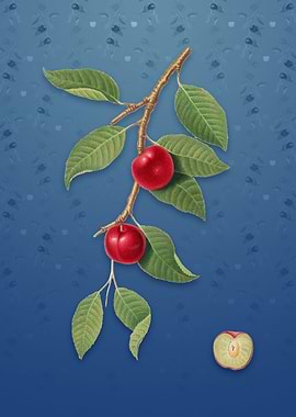 Vintage Cherry Plum