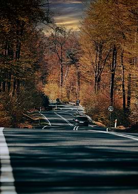Autumn road, trees, travel