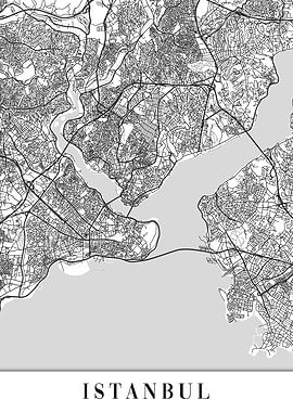 Istanbul White Map