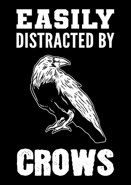 Distracted by Crows Pet Ow