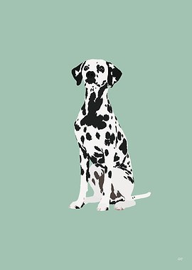 Dalmatian Dog Illustration