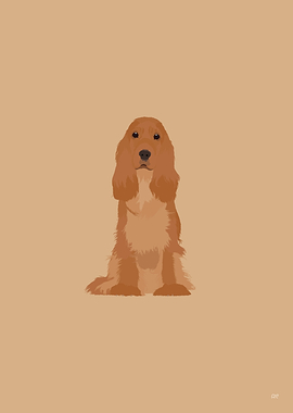 English Cocker Spaniel Dog