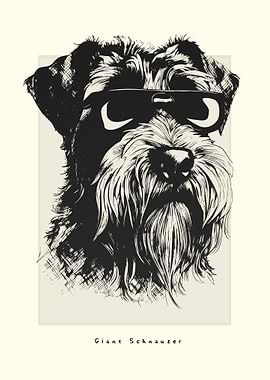 Giant Schnauzer Sketch