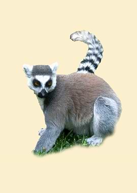 Lemur