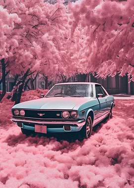 JDM Car Cherry Blossom