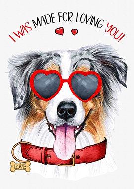 Australian Shepherd Love