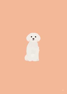 Maltese Dog Illustration