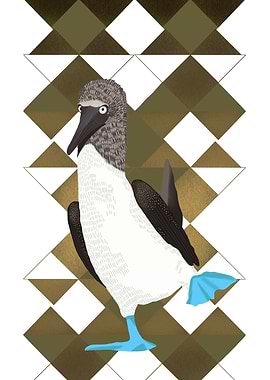 Blue Footed Booby Bird