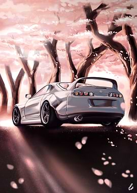 Sakura Supra 01
