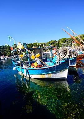Moored Boats in Niel