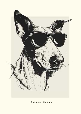 Ibizan Hound Illustration