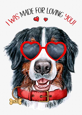 Bernese Mountain Dog Love
