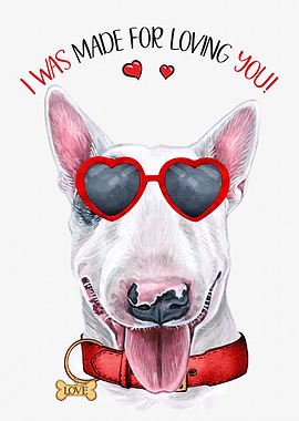 Bull Terrier Dog Love