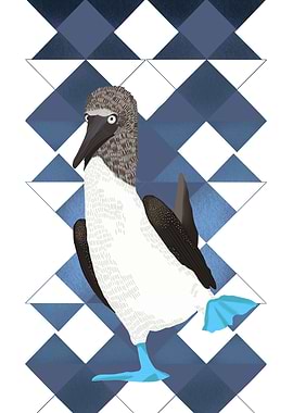 Booby Bird Blue Geometric