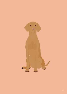 Vizsla Dog Illustration