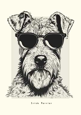 Irish Terrier Sketch
