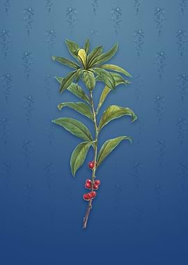 February Daphne Flowers