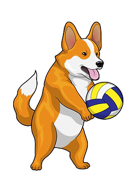 Corgi Volleyball