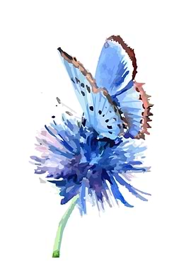 Animal fullcolour abstract