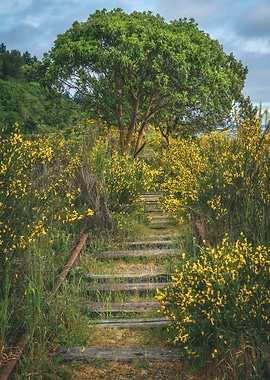 The embrace of nature