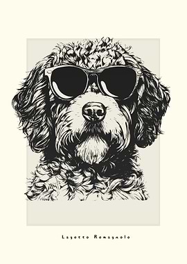 Lagotto Romagnolo Sketch