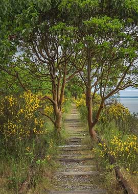Reclaimed by Mother Nature