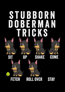 Stubborn Doberman Tricks