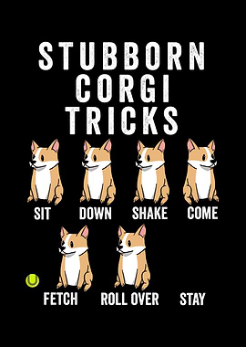Stubborn Corgi Tricks