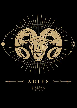 Aries zodiac sign 2