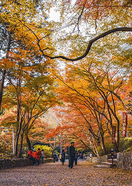 Temple Park in Kyoto Japan