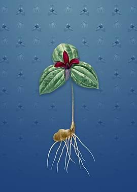 Tri Flower on Bahama Blue