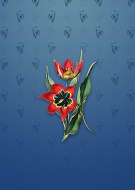 Red Strong Smelling Tulip