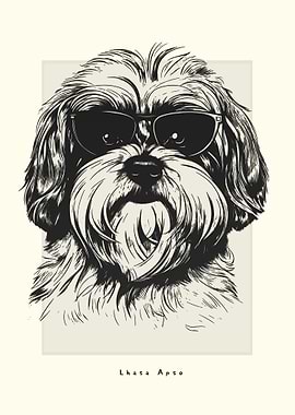 Lhasa Apso Illustration