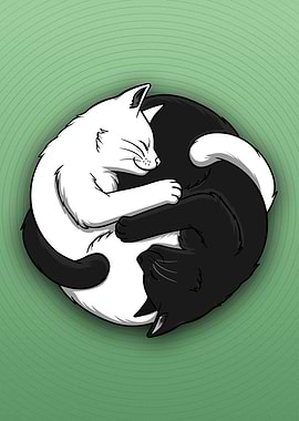 CUTE YIN YANG CAT